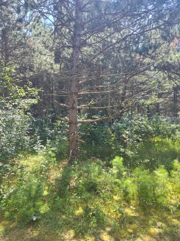 $44,900 | Lot 114 County Rd Z, Nekoosa, WI 54457
