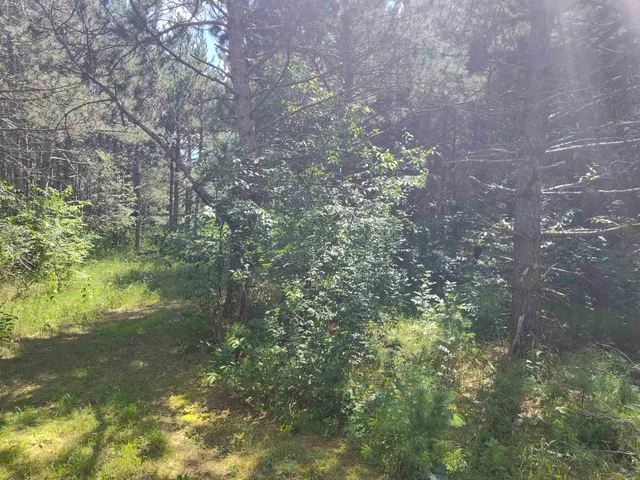 $44,900 | Lot 114 County Rd Z, Nekoosa, WI 54457