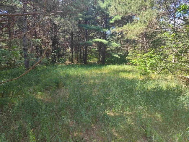 $44,900 | Lot 114 County Rd Z, Nekoosa, WI 54457