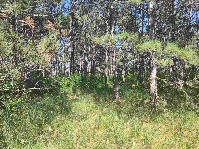 $44,900 | Lot 114 County Rd Z, Nekoosa, WI 54457