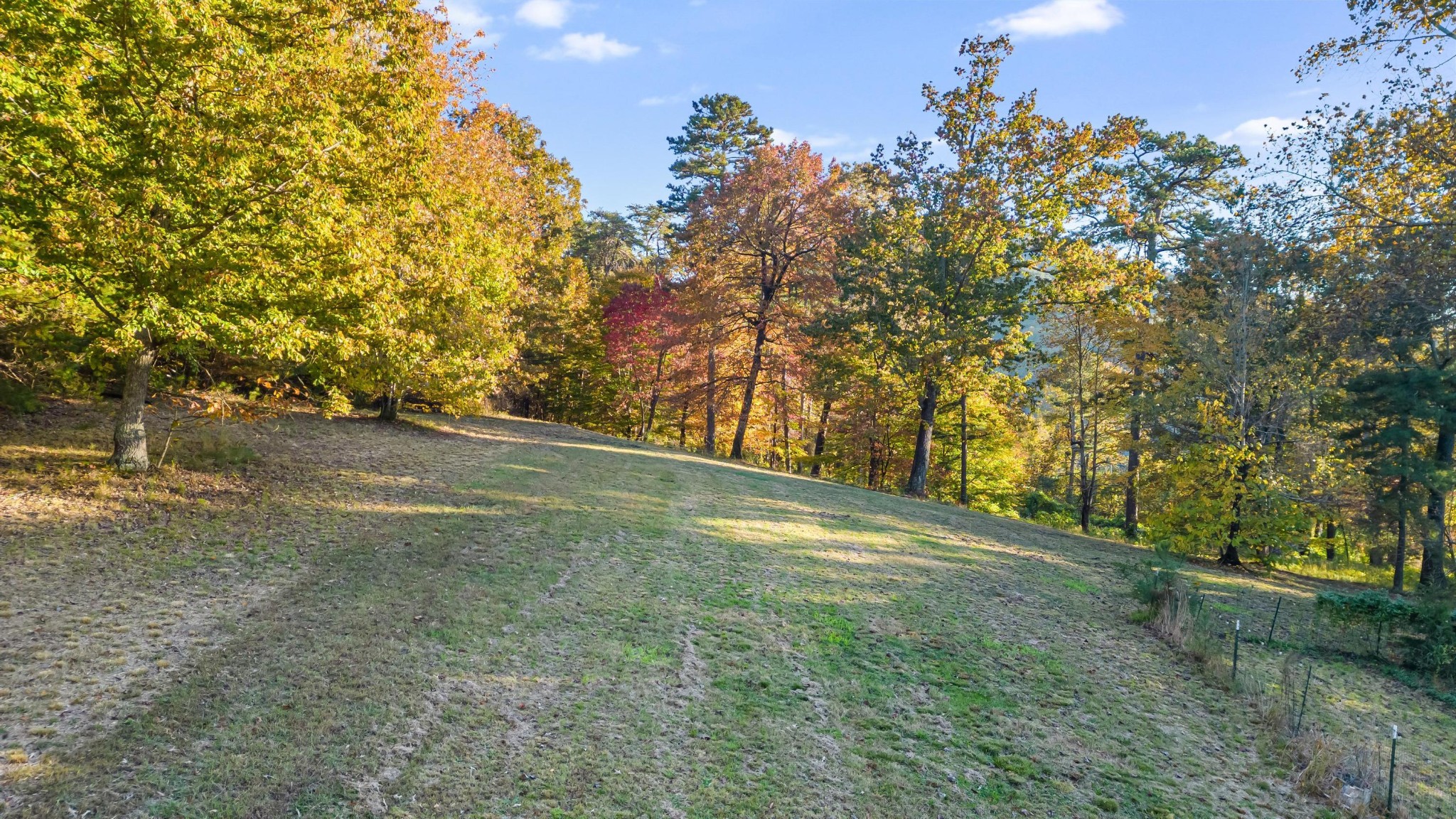 144 Parksville Road Benton, TN 37307 - Photo 57 of 64 a view of a yard with a tree