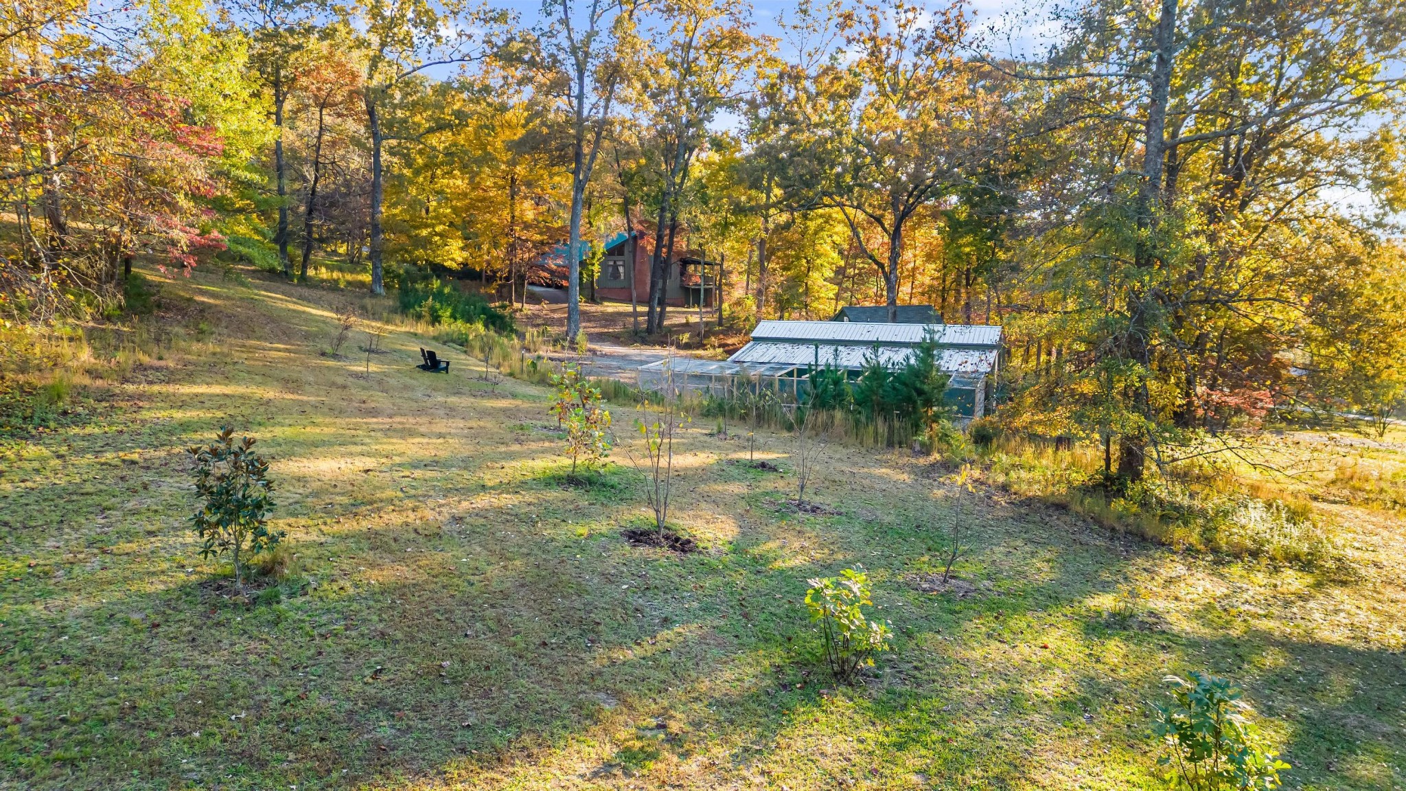 144 Parksville Road Benton, TN 37307 - Photo 59 of 64 a backyard of a house with trees and retail shops