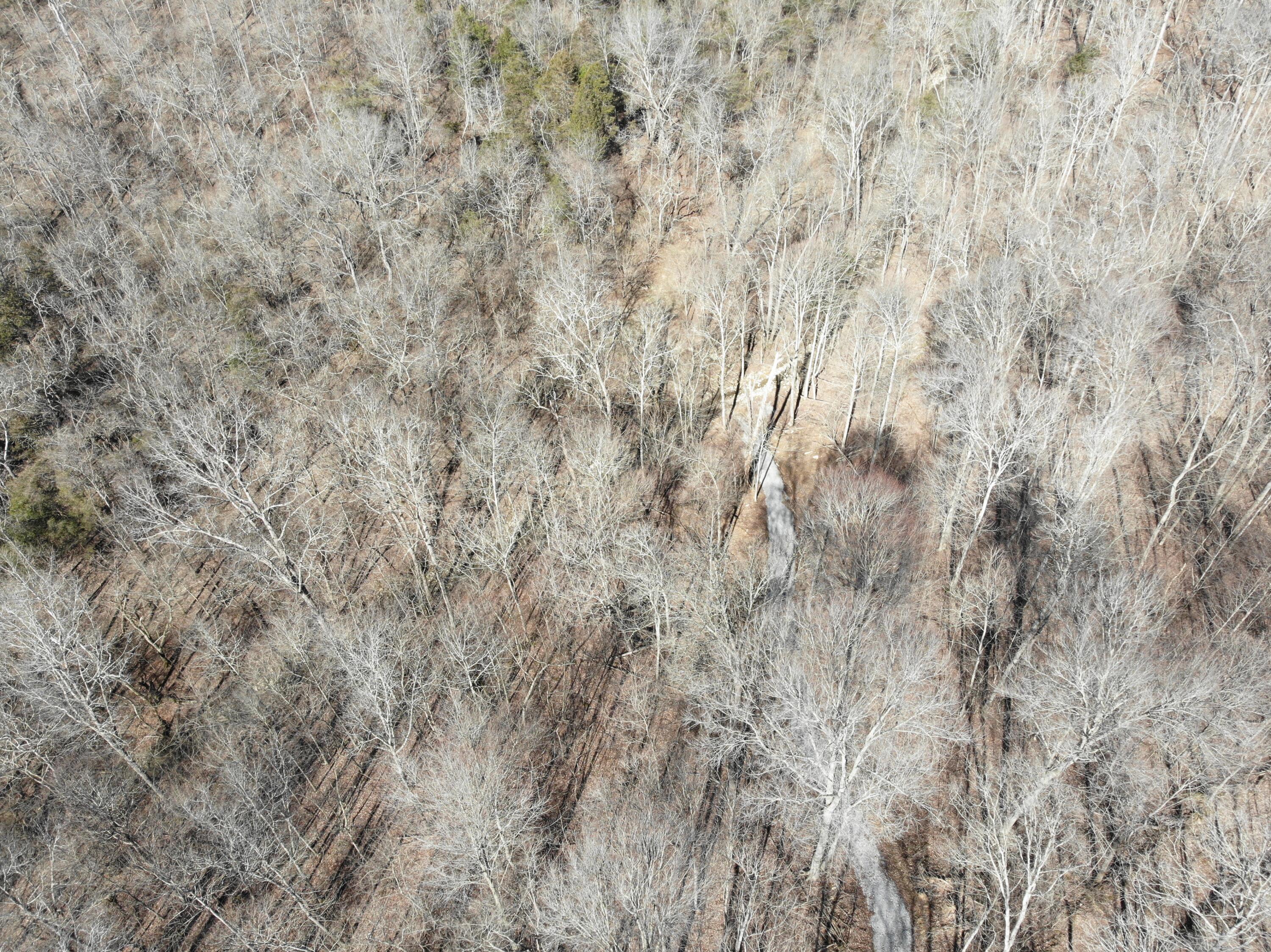 0 Persimmon Ridge Road Carlisle, KY 40311 - Photo 19 of 23 DJI_0857
