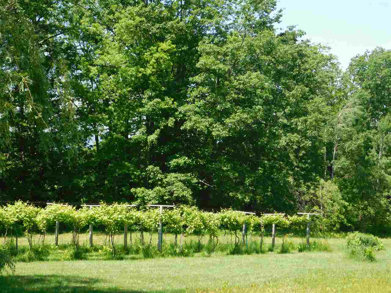 542 Breezy Hill Road Springfield, VT 05156 - Photo 30 of 34