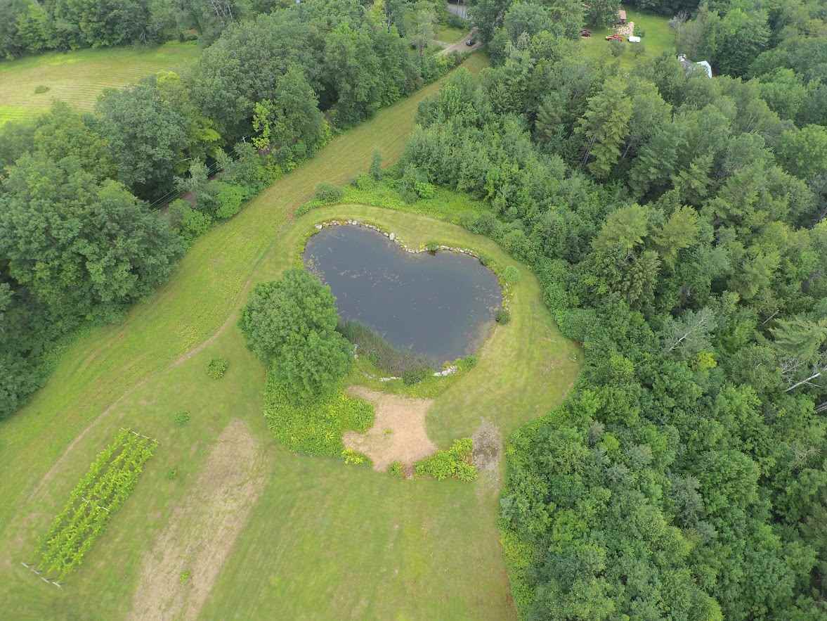 542 Breezy Hill Road Springfield, VT 05156 - Photo 31 of 34