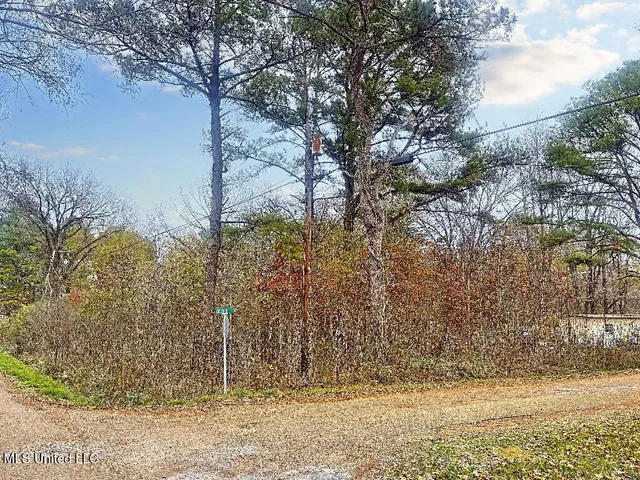 $7,500 | 0 Debbie Drive, Canton, MS 39046