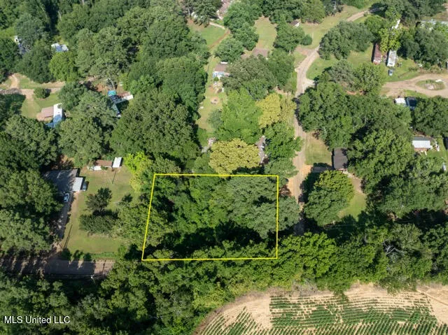 $7,500 | 0 Debbie Drive, Canton, MS 39046