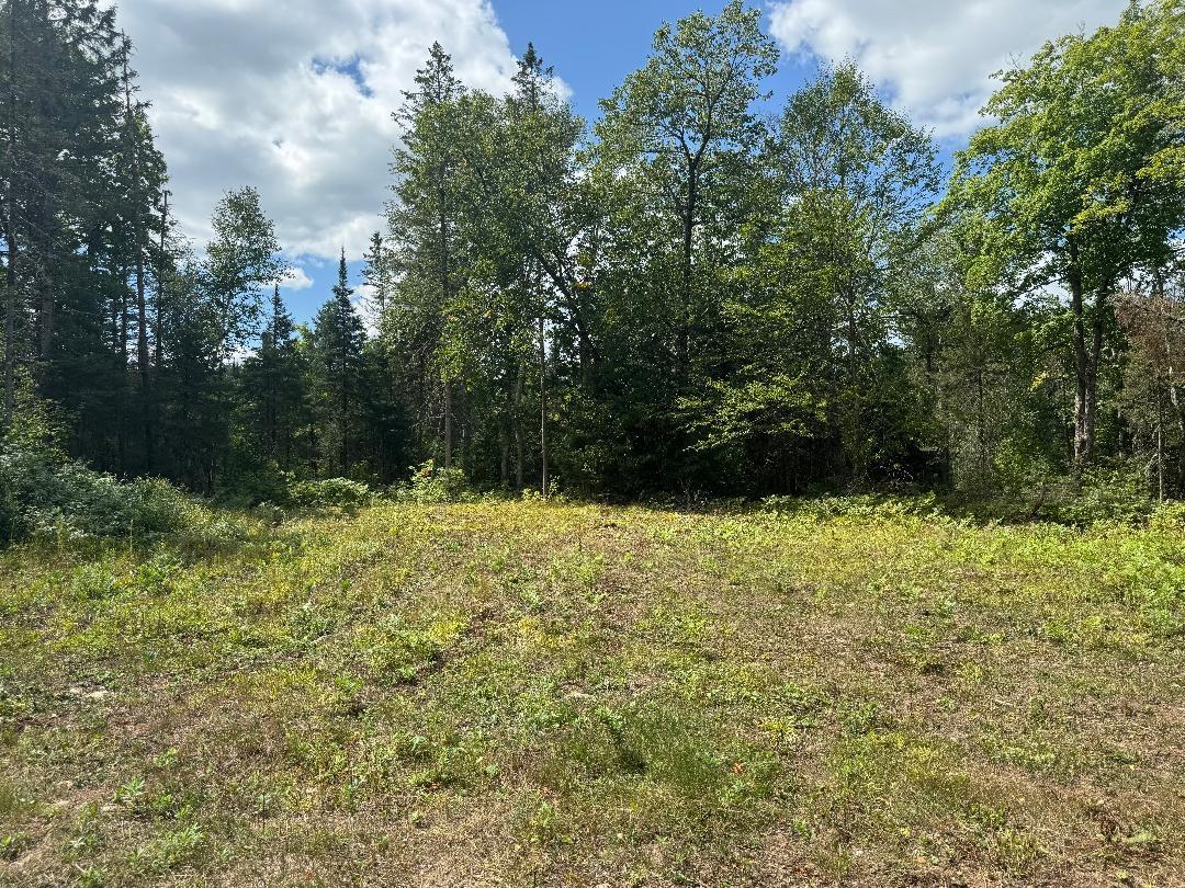 4074 W Weber Road Mercer, WI 54547 - Photo 11 of 27 Gallery Image 11
