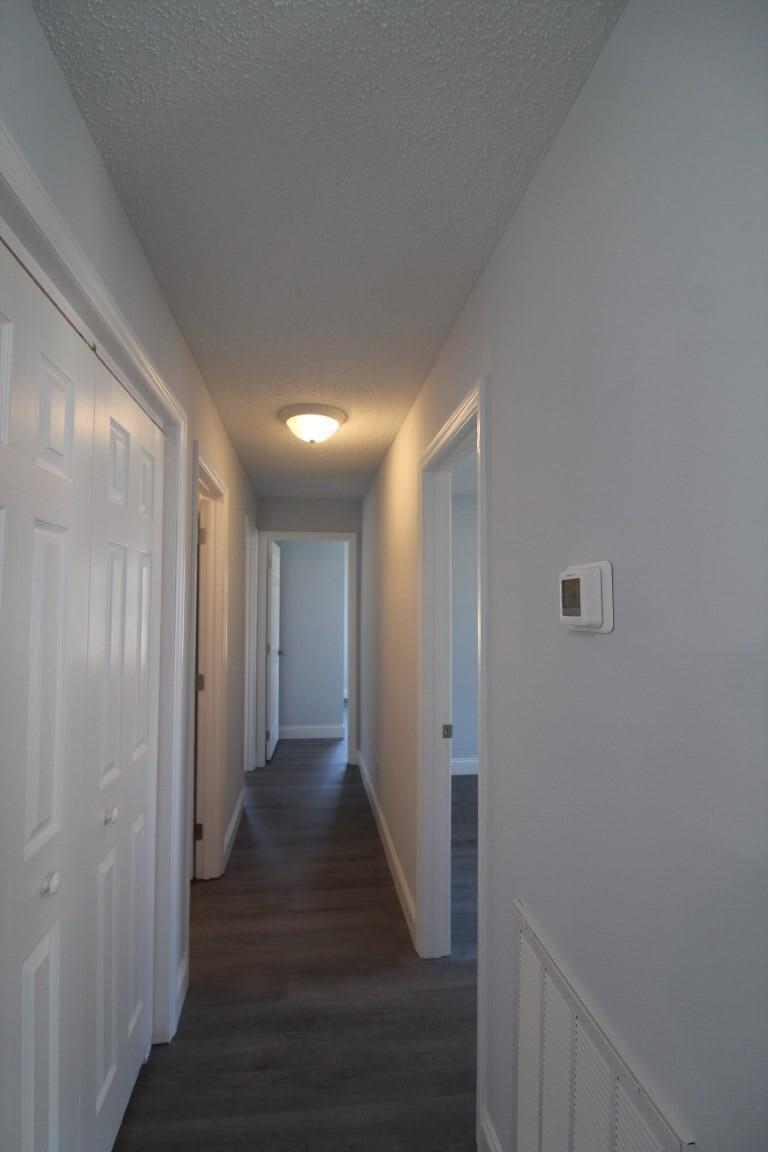 181 Spring Street Spring City, TN 37381 - Photo 23 of 46 IMG_4680 (Medium)
