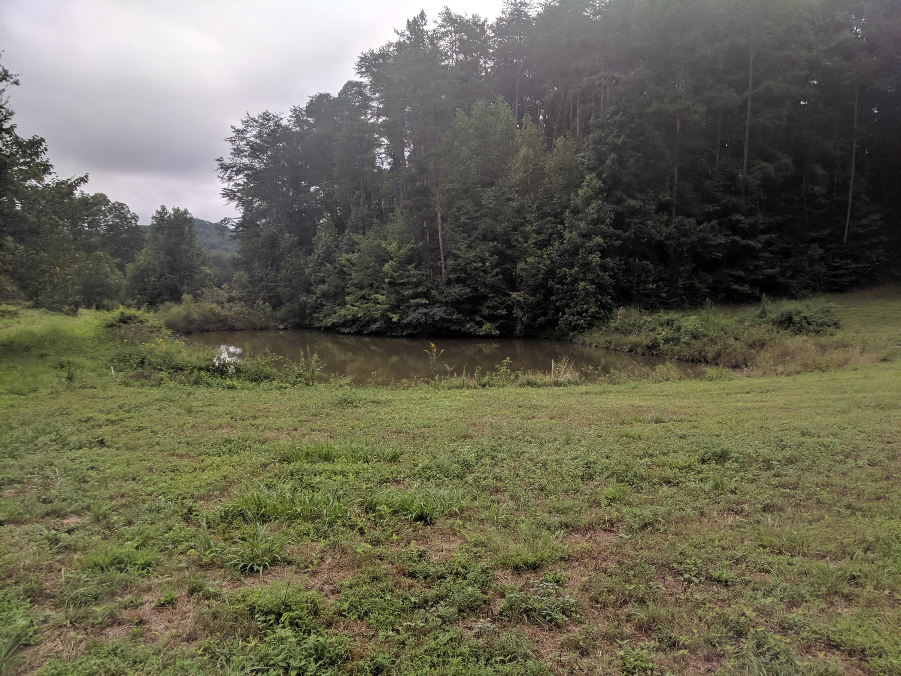 3267 Dutch Valley Road Clinton, TN 37716 - Photo 11 of 38 IMG_20190824_112641_1