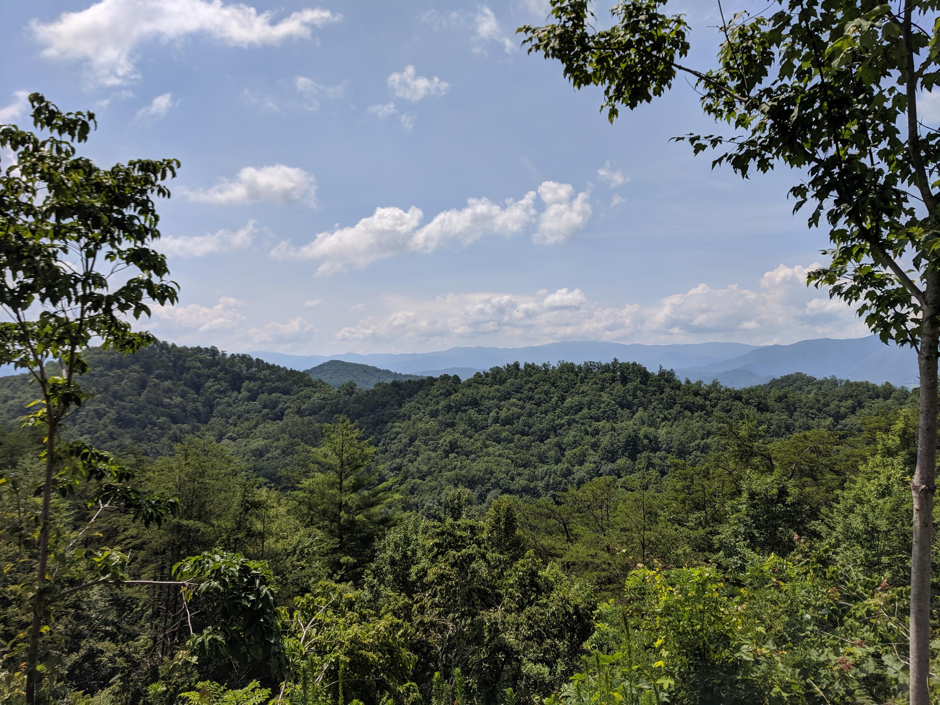 3267 Dutch Valley Road Clinton, TN 37716 - Photo 13 of 38 IMG_20190630_114915