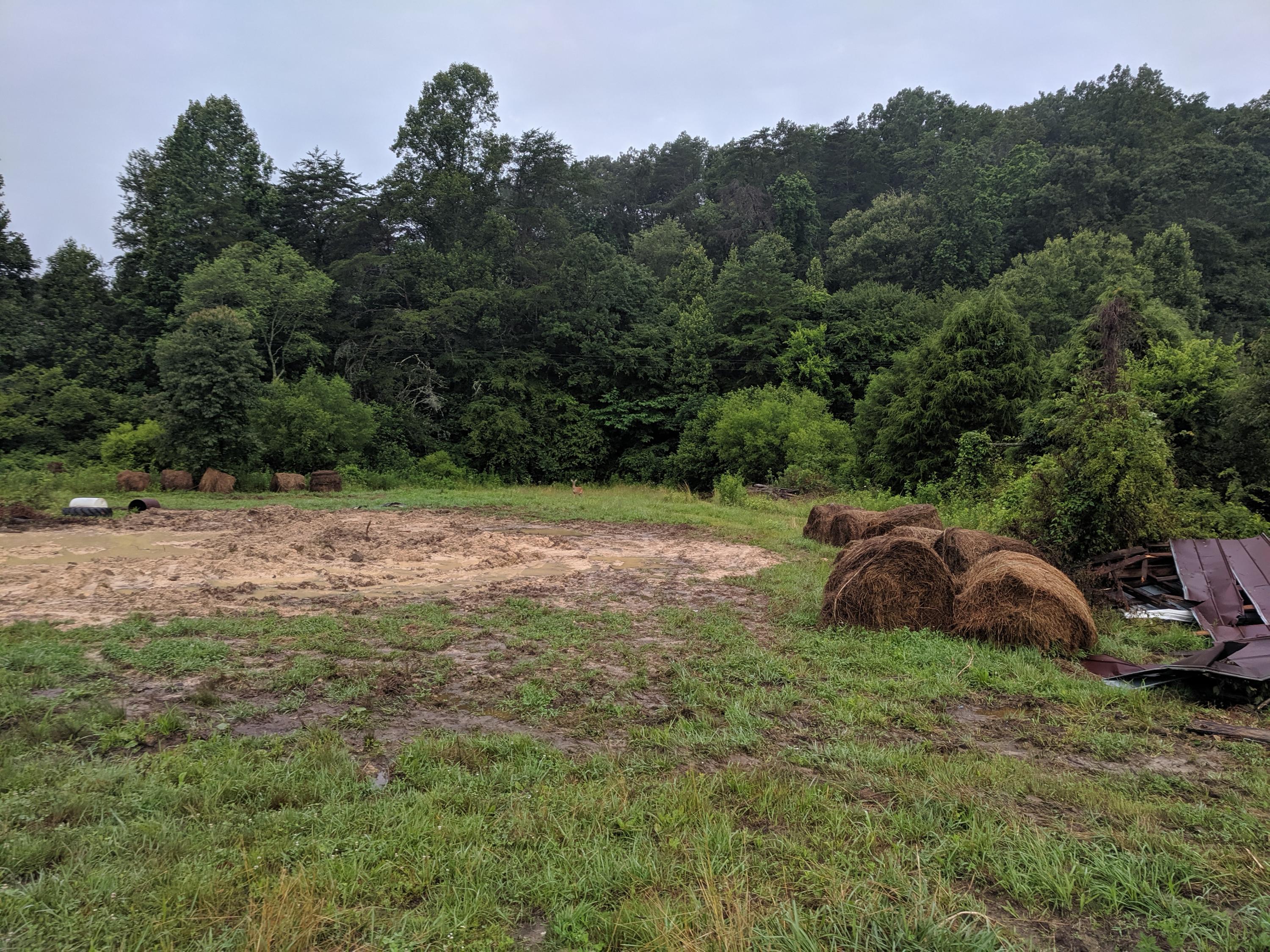 3267 Dutch Valley Road Clinton, TN 37716 - Photo 14 of 38 IMG_20190622_073348