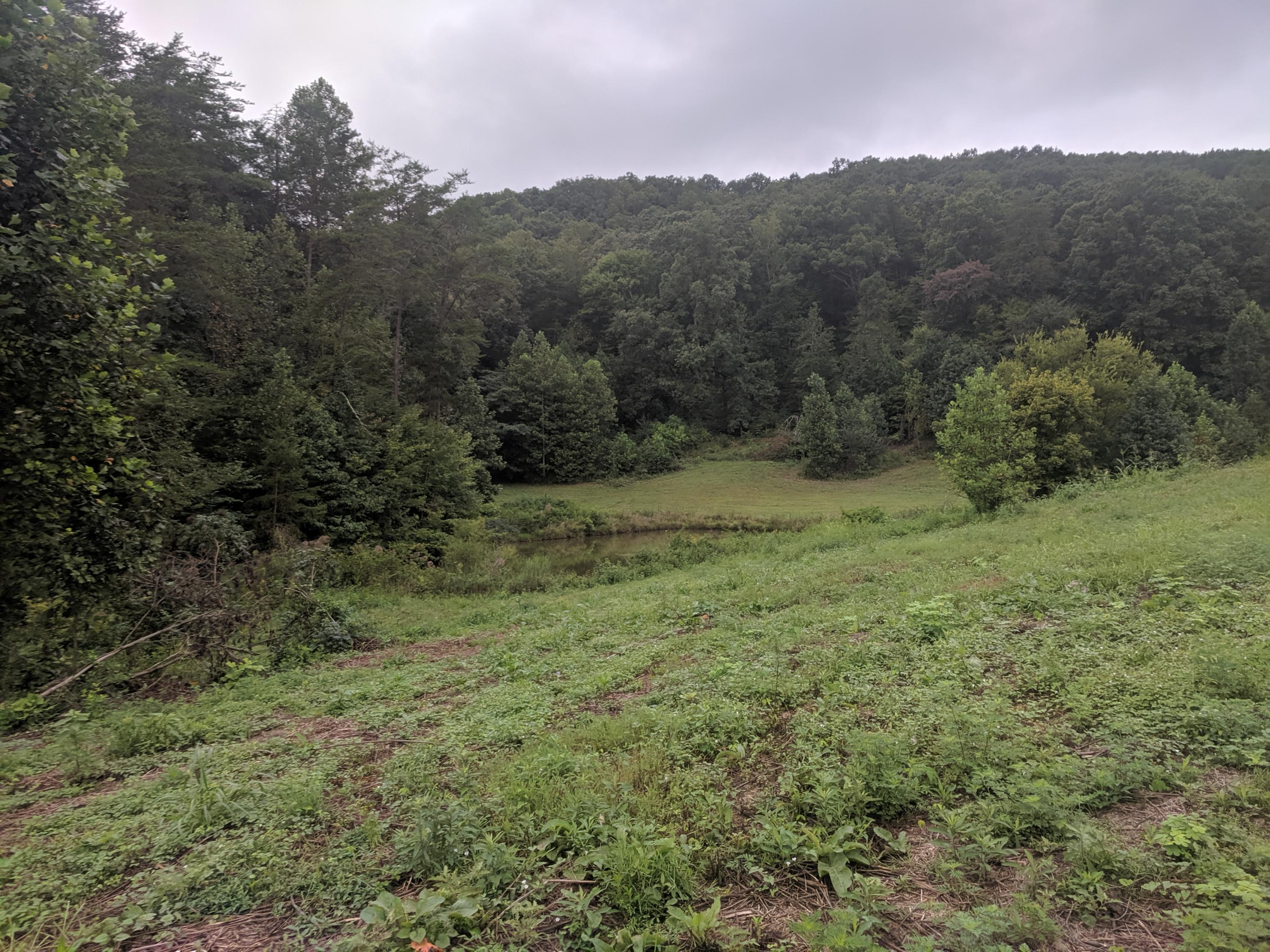 3267 Dutch Valley Road Clinton, TN 37716 - Photo 23 of 38 IMG_20190824_111533