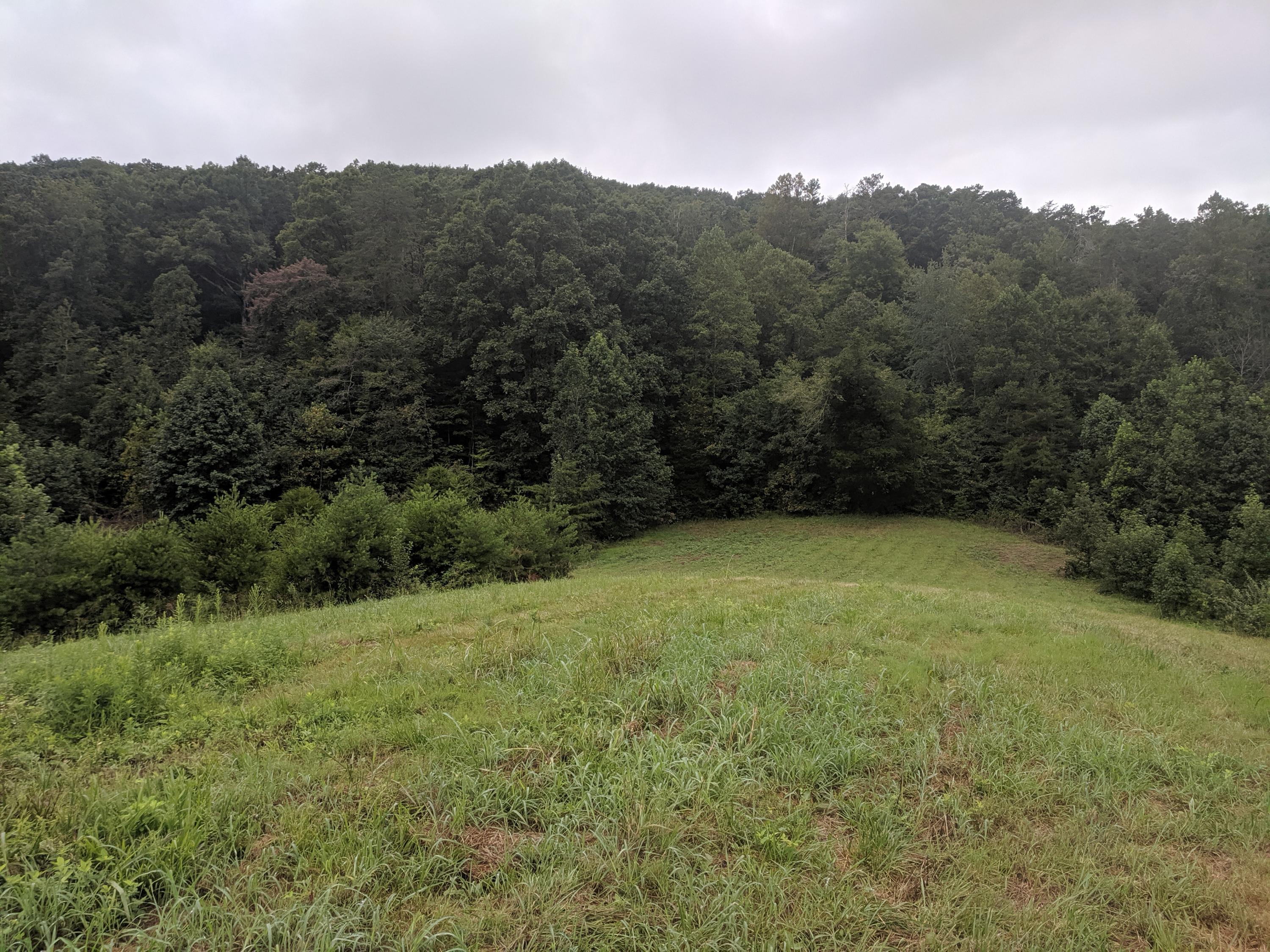 3267 Dutch Valley Road Clinton, TN 37716 - Photo 24 of 38 IMG_20190824_111613