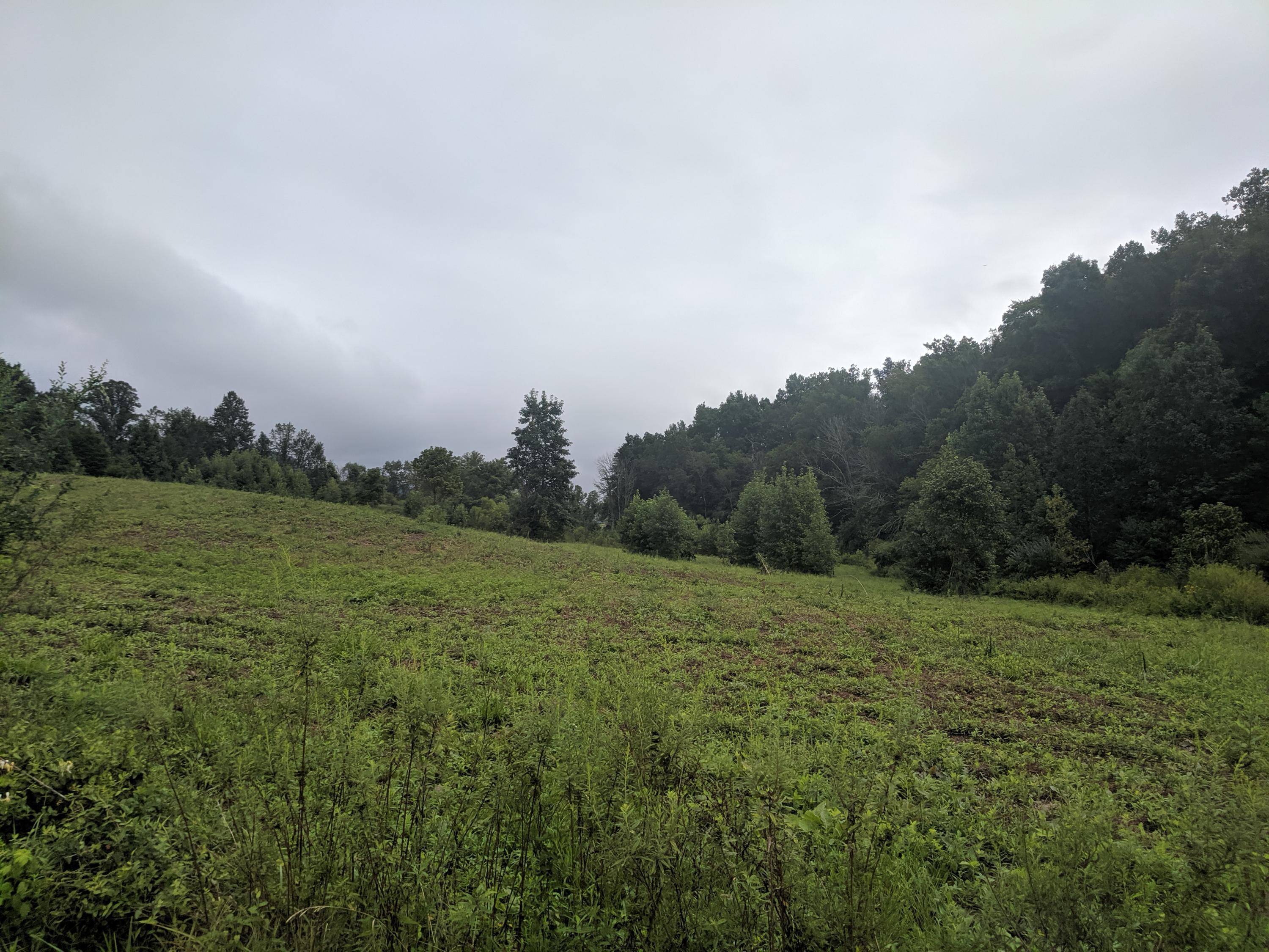3267 Dutch Valley Road Clinton, TN 37716 - Photo 30 of 38 IMG_20190824_112910