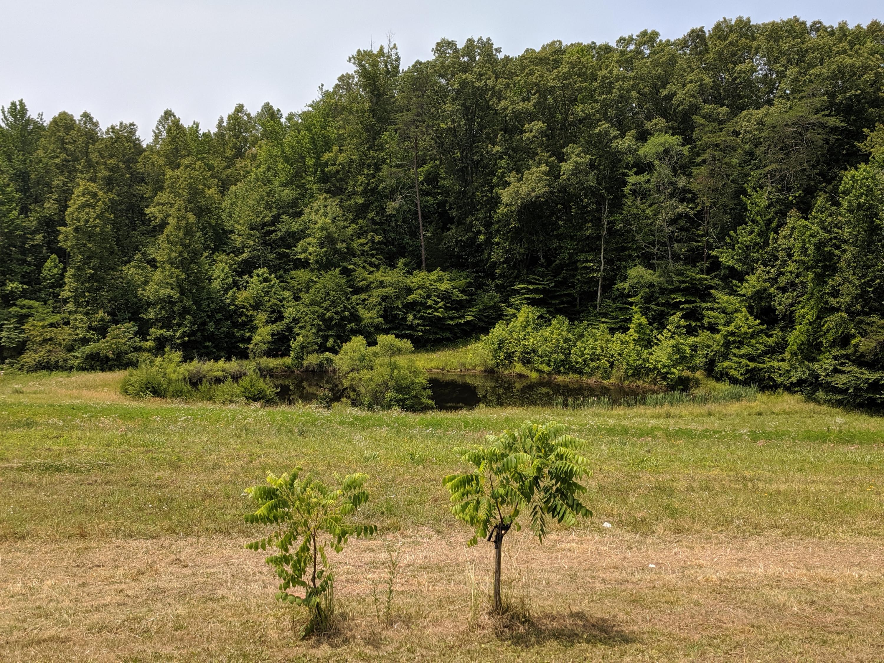 3267 Dutch Valley Road Clinton, TN 37716 - Photo 7 of 38 IMG_20190604_123220