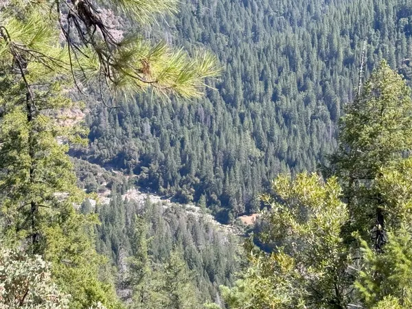 $549,000 | 10543 Chuckleberry Drive, Nevada City, CA 95959