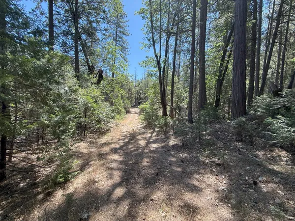 $549,000 | 10543 Chuckleberry Drive, Nevada City, CA 95959