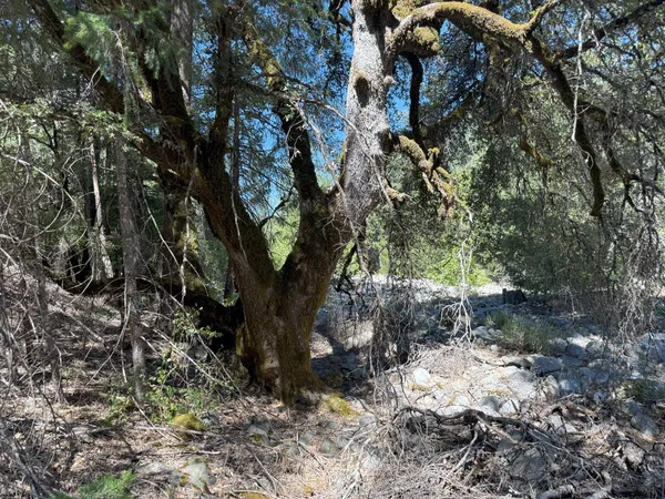 $549,000 | 10543 Chuckleberry Drive, Nevada City, CA 95959