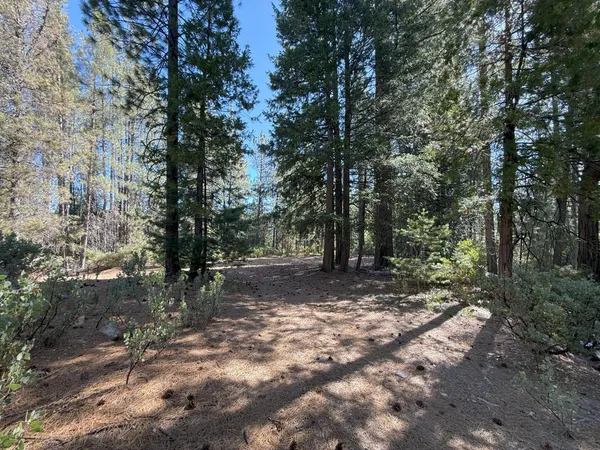 $549,000 | 10543 Chuckleberry Drive, Nevada City, CA 95959