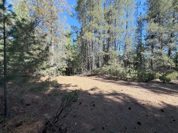 $549,000 | 10543 Chuckleberry Drive, Nevada City, CA 95959