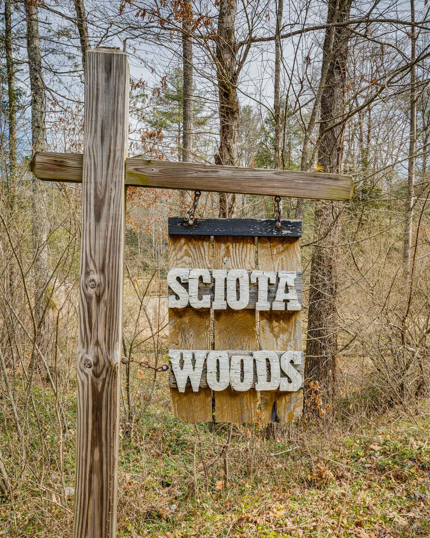 352 Scioto Road Unicoi, TN 37692 - Photo 8 of 9 101