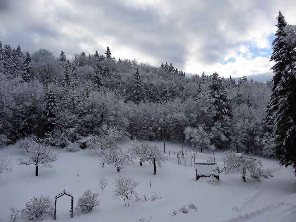 2147 Burke Hollow Road Burke, VT 05871 - Photo 20 of 28