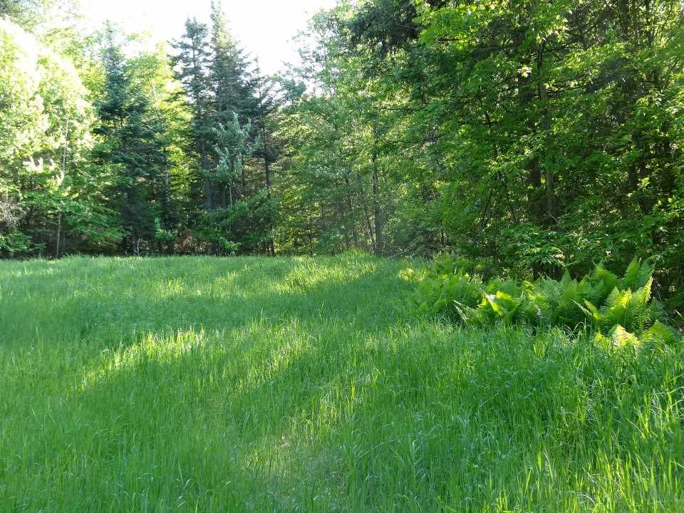 2147 Burke Hollow Road Burke, VT 05871 - Photo 21 of 28