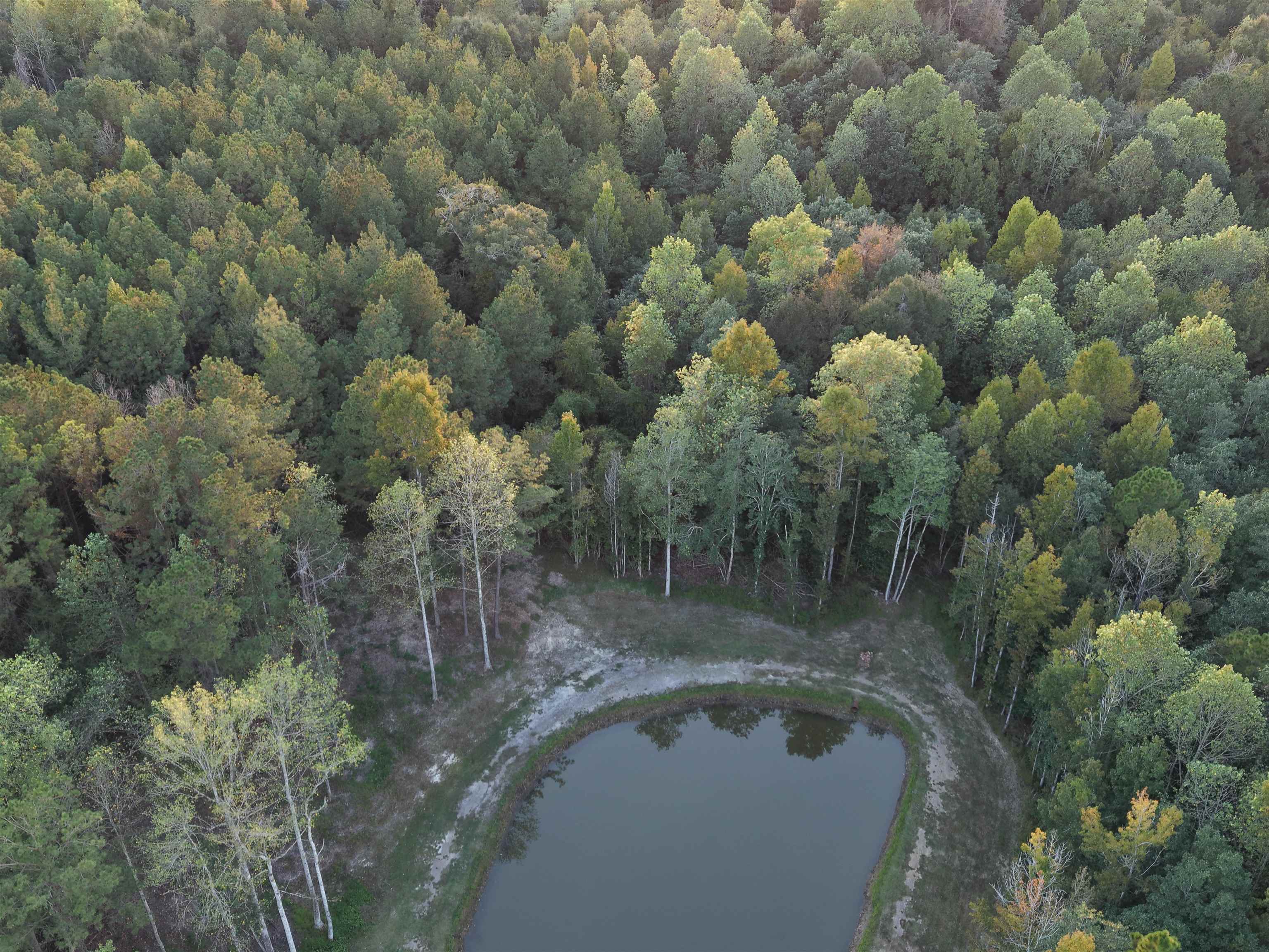 31769 Boston Road Dozier, AL 36028 - Photo 38 of 48 Gallery Image 38