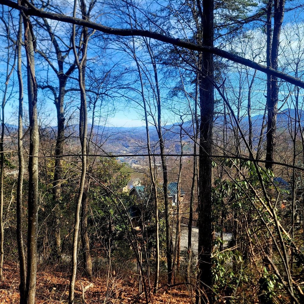 17 Zurich Road Gatlinburg, TN 37738 - Photo 2 of 24