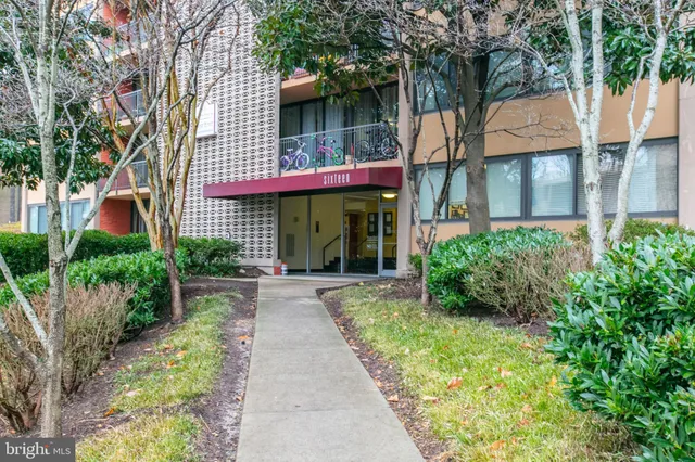 a view of a brick house with a large windows plants and large tree