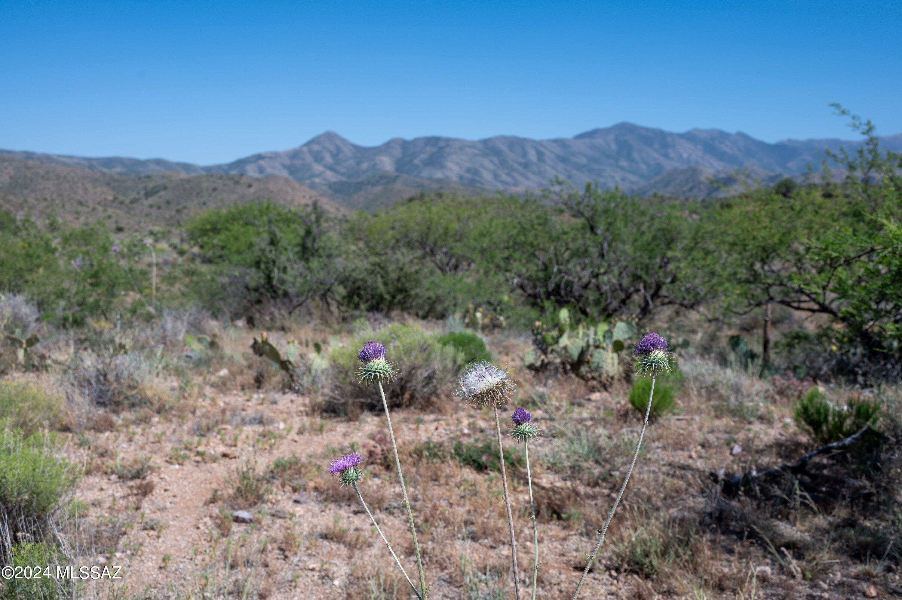 67919 East Madison Road, Unit 56 Oracle, AZ 85623 - Photo 6 of 19