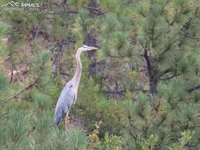a view of a city and mountain