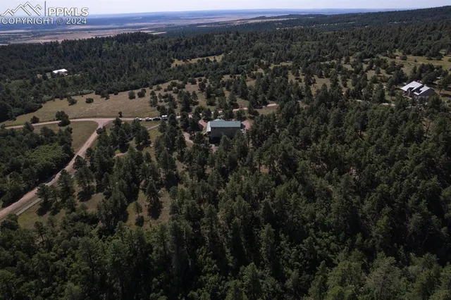 a view of a lush green forest with a houses