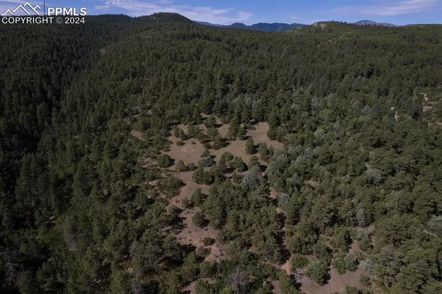 a picture of a bench in a white building
