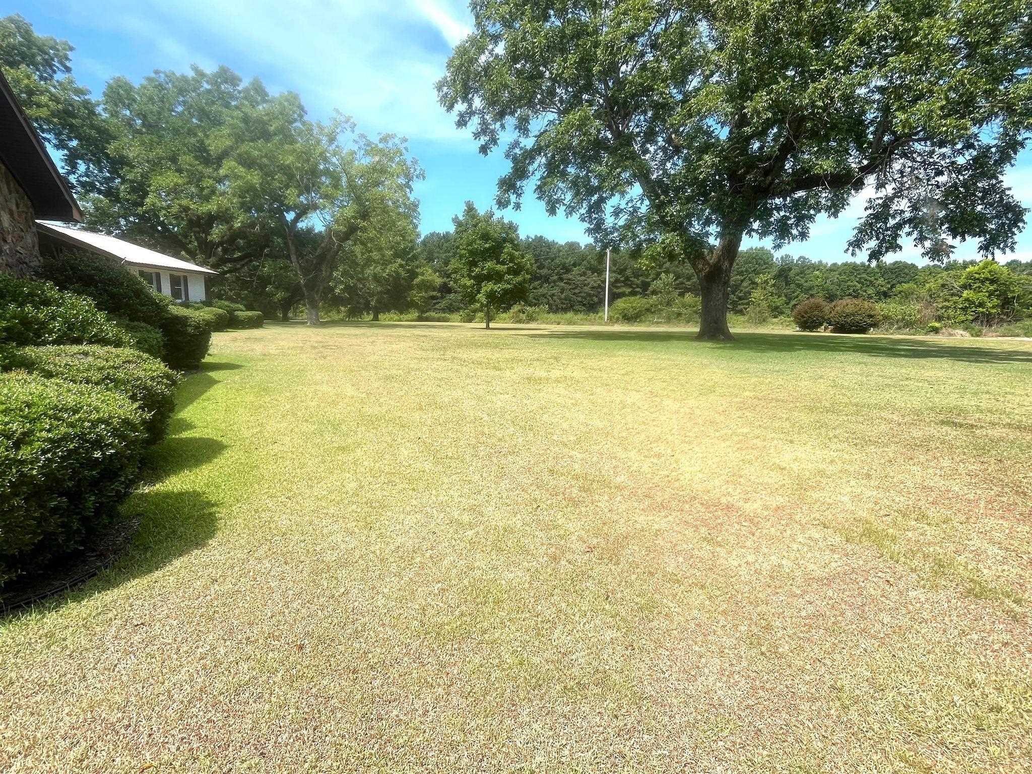 2075 Lowman Loop Road Dozier, AL 36028 - Photo 9 of 43 Gallery Image 9