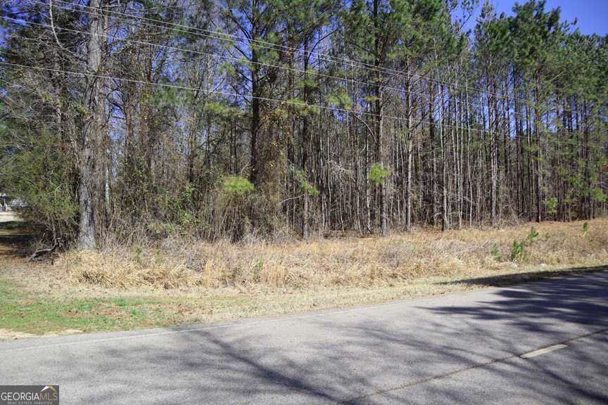 Lt J St Mark Church Road Southwest, Unit J Sparta, GA 31087 - Photo 1 of 1 a view of a yard with trees