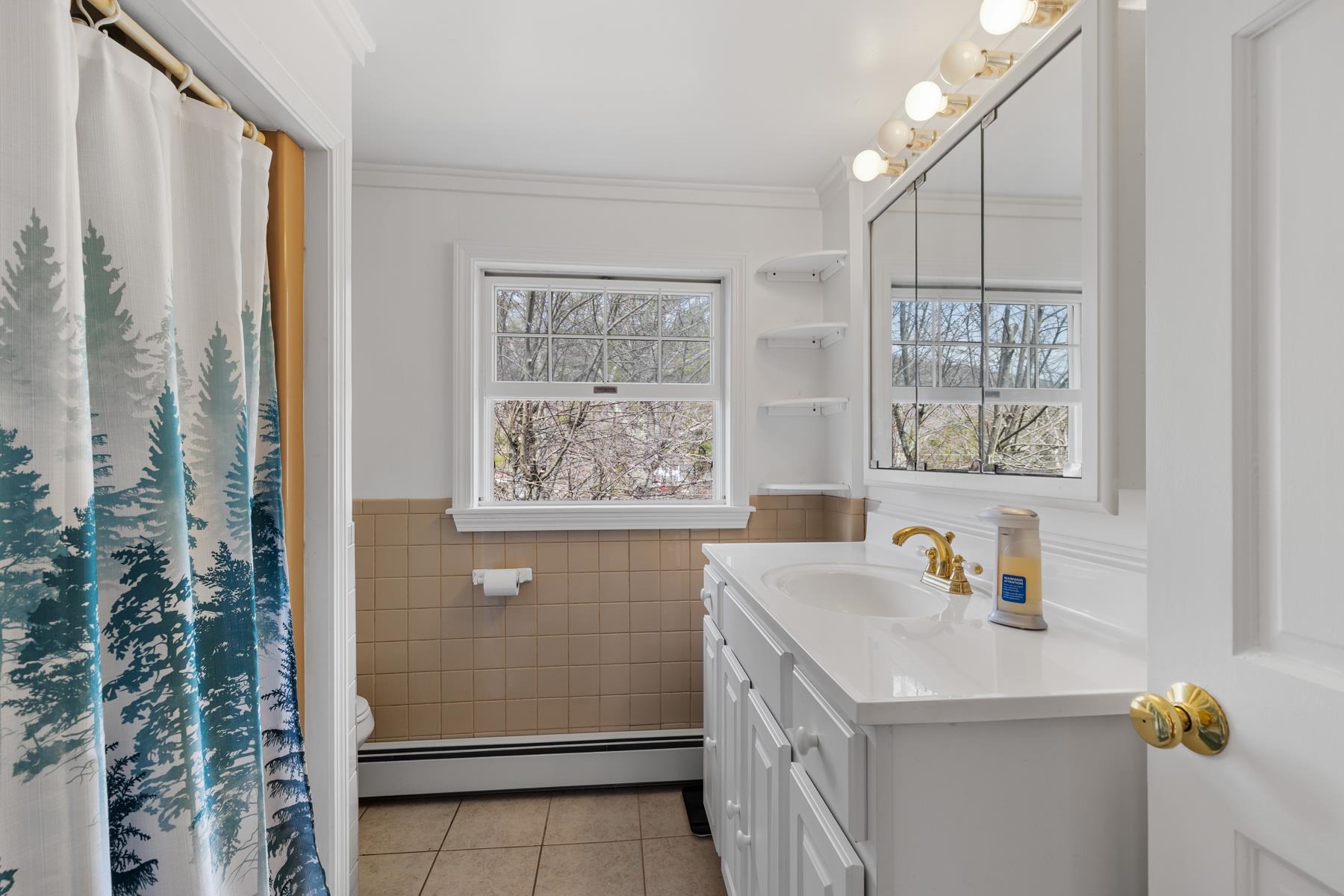 699 Kings Highway Middleton, NH 03887 - Photo 18 of 39