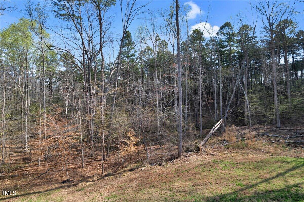 90 Ferncrest Court Roxboro, NC 27574 - Photo 38 of 45 a view of a pathway