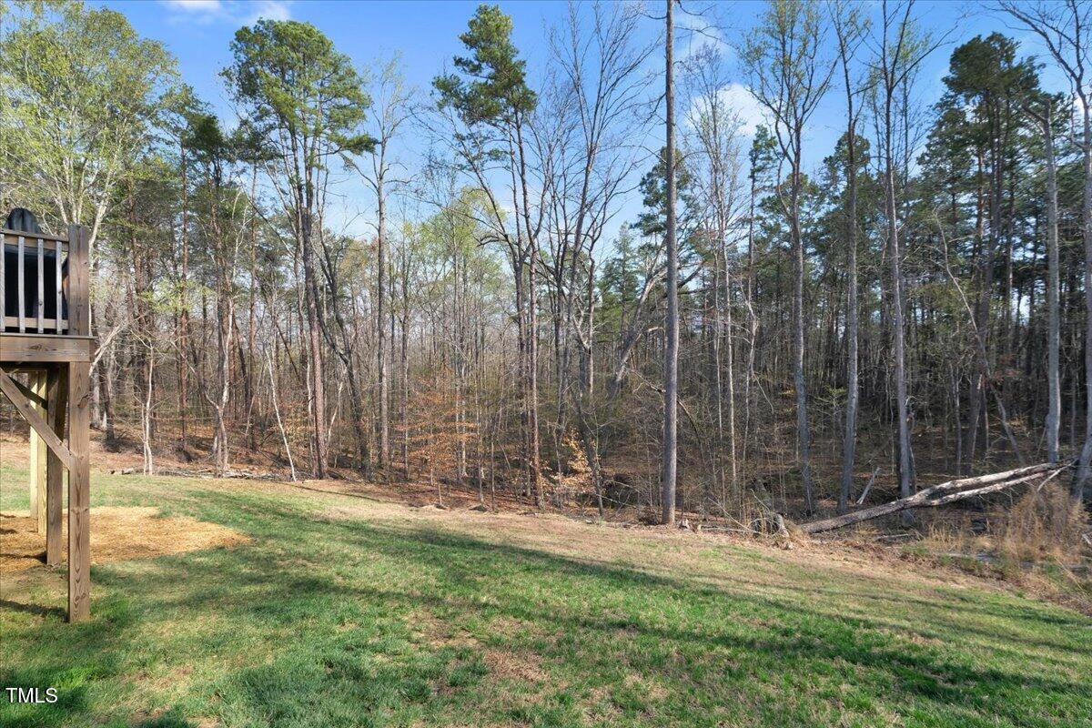 90 Ferncrest Court Roxboro, NC 27574 - Photo 39 of 45 a backyard of a house with lots of green space