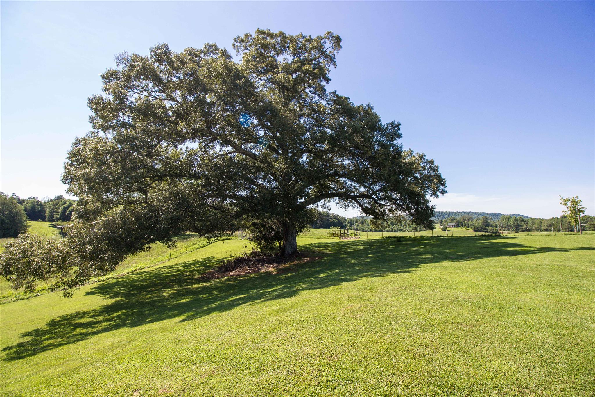 485 Quebeck Road Quebeck, TN 38579 - Photo 4 of 29 Gallery Image 4