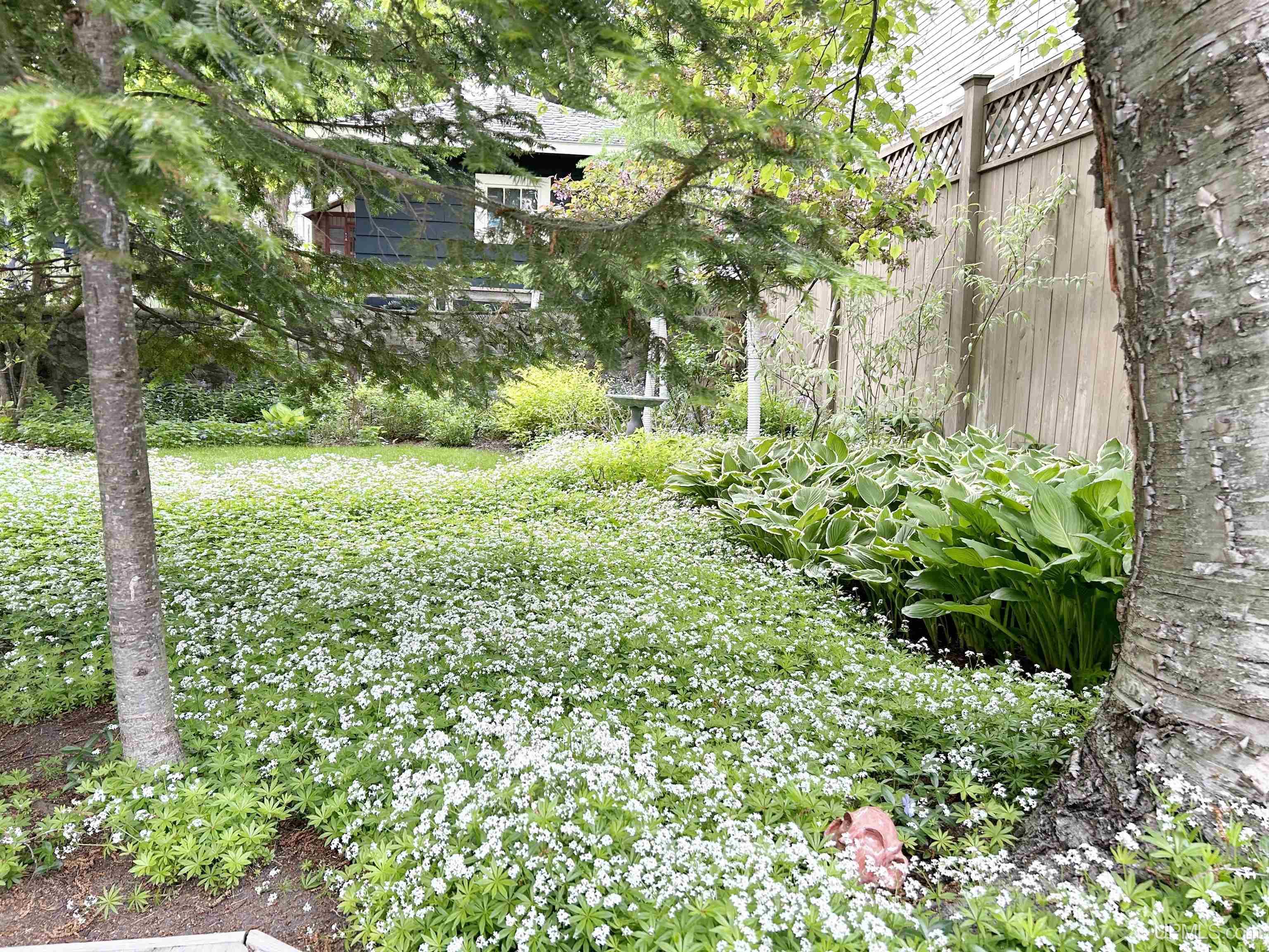 209 Center Street Hancock, MI 49930 - Photo 53 of 54 Gallery Image 53