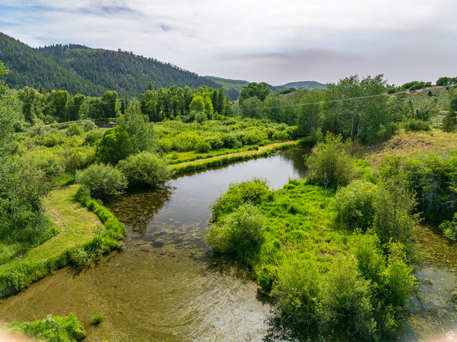 5958 Bull Moose Road Kamas, UT 84036 - Photo 4 of 25 Natural water feature surrounded by lush, green vegetation