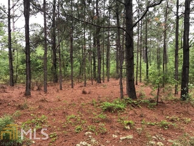 0 Hargrove Road Millen, GA 30442 - Photo 1 of 1