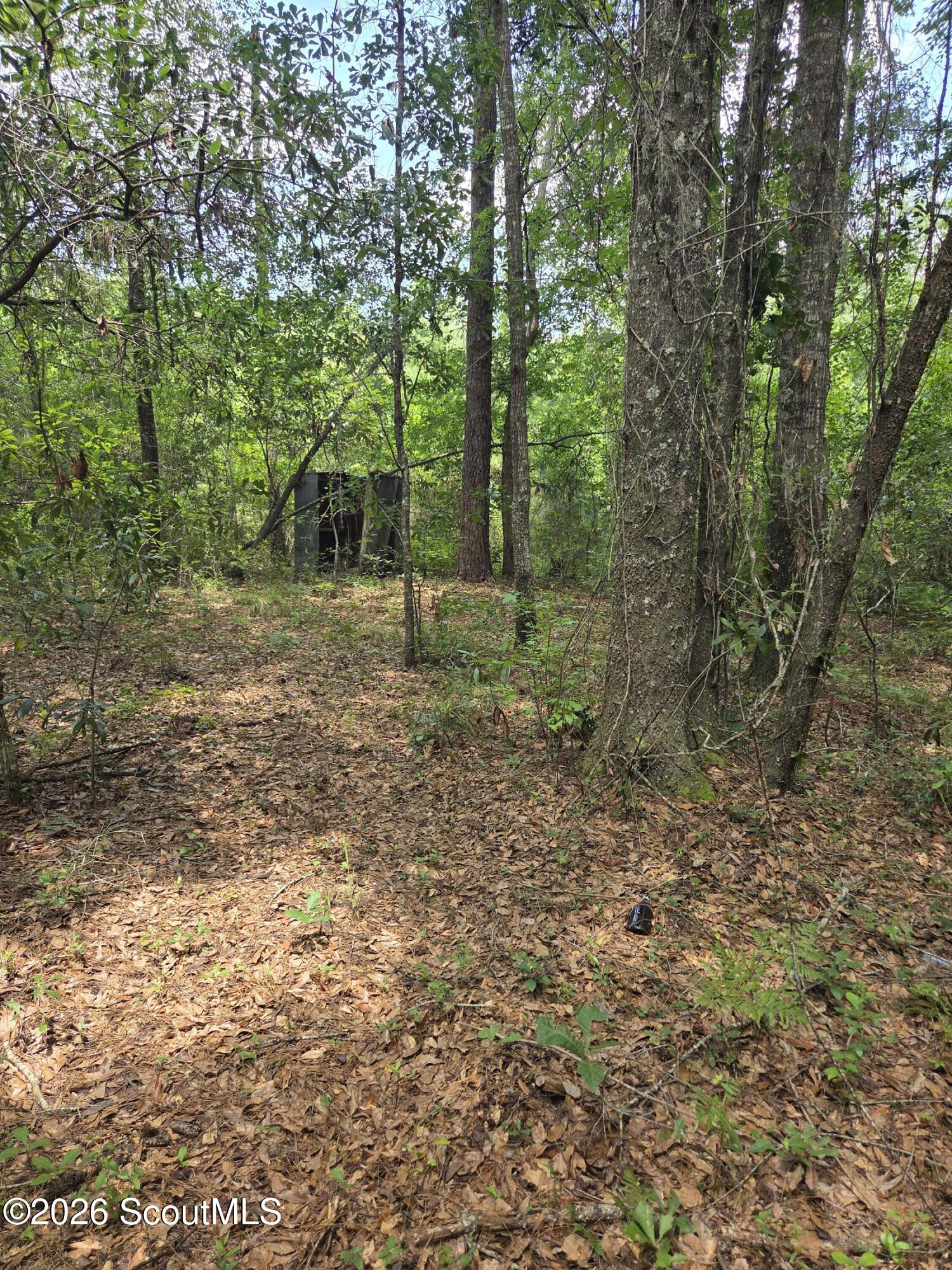 2.83-ac Young Man Road Northeast Townsend, GA 31331 - Photo 5 of 7 20260623_141132