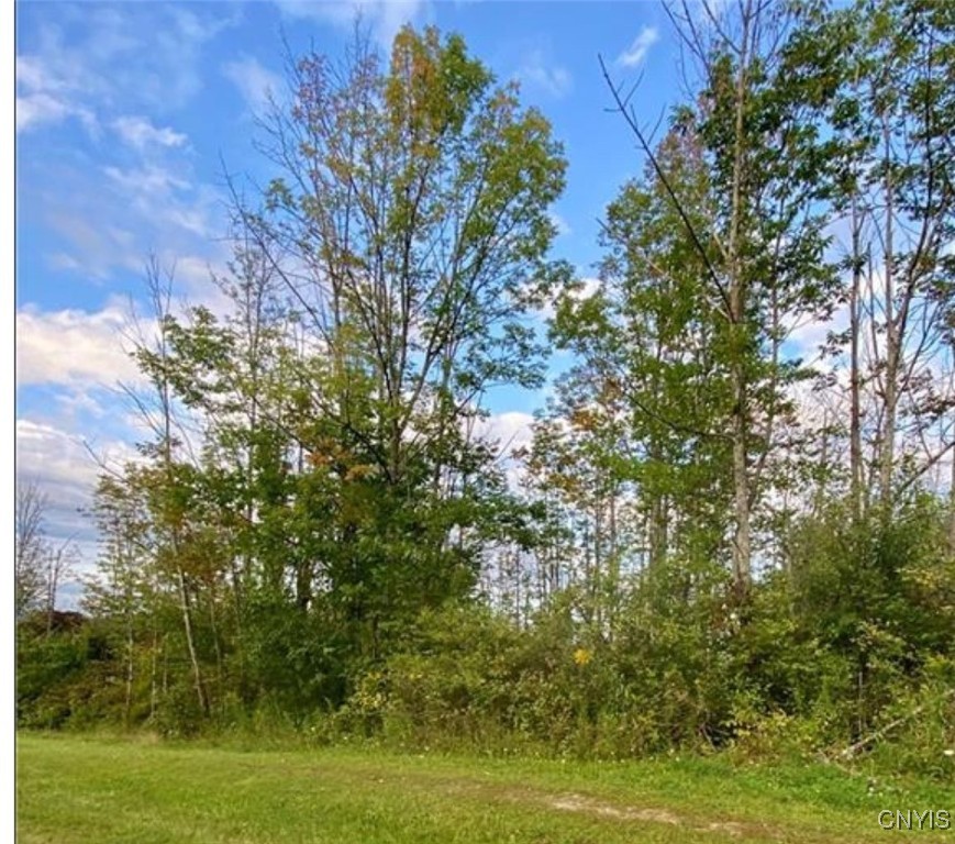 0 Trenton Road Barneveld, NY 13304 - Photo 3 of 22