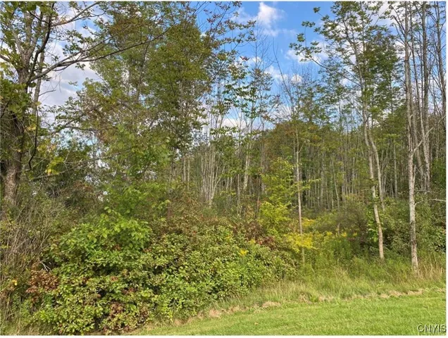 $30,000 | 0 Trenton Road, Barneveld, NY 13304