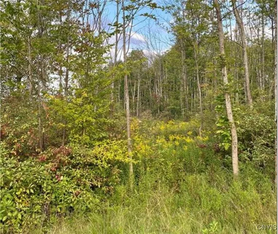 $30,000 | 0 Trenton Road, Barneveld, NY 13304