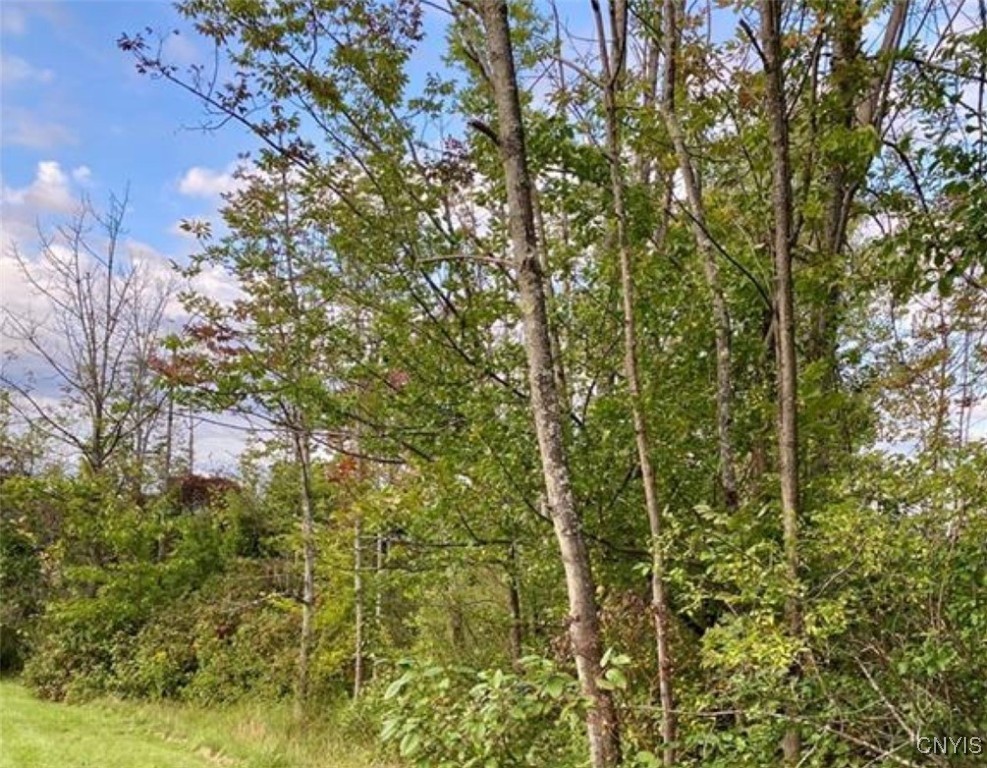 0 Trenton Road Barneveld, NY 13304 - Photo 6 of 22