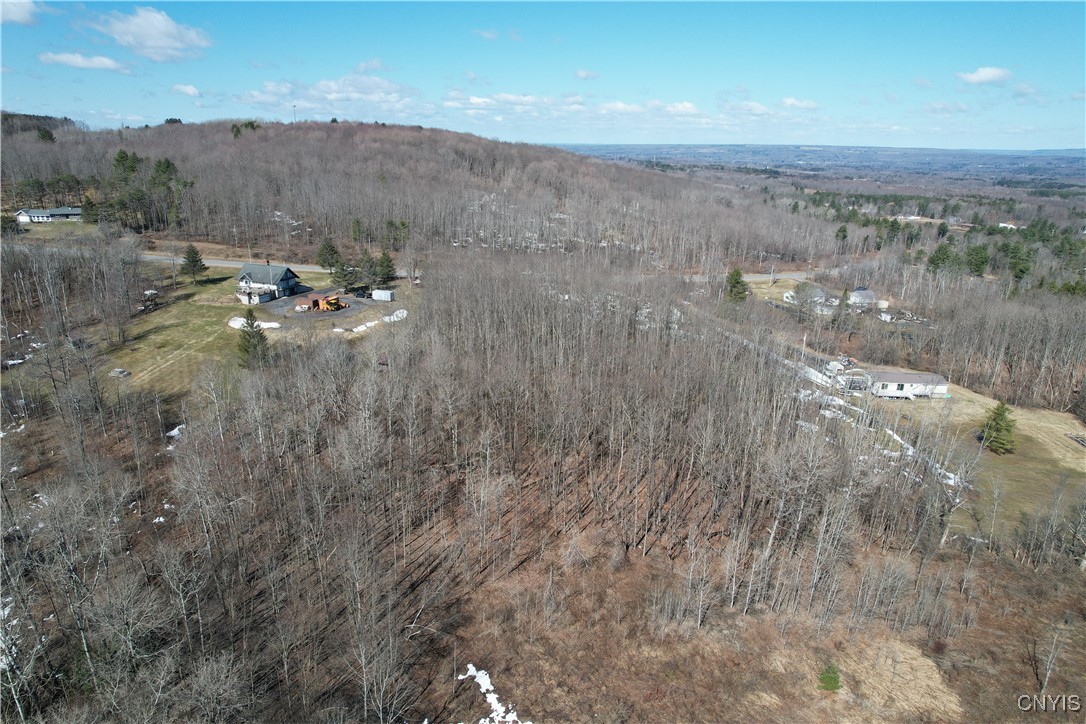 0 Trenton Road Barneveld, NY 13304 - Photo 8 of 22